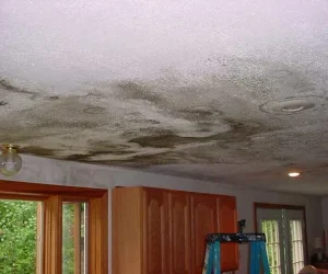 Roof and Wall Leak Detection