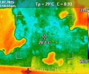 Thermal Vision Home Inspection