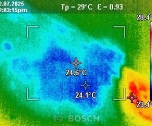 Dampness & Leak Diagnosis